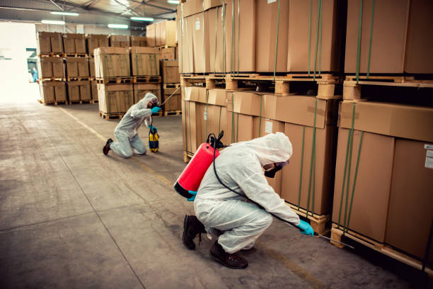 Best Wasp Removal Services  in Suquamish, WA