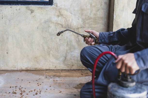 Best Flea Control Services  in Suquamish, WA